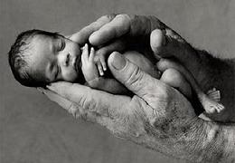 Baby in Hand